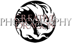 CreativeDragon logo